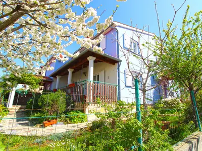 Ferienwohnung für 6 Personen (80 m²) in Pula (Istarska) 5/10