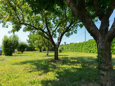 Ferienwohnung für 5 Personen (80 m²) in Pula (Istarska) 6/10