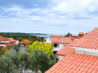 Ferienwohnung für 4 Personen (100 m²) in Štinjan 3/10