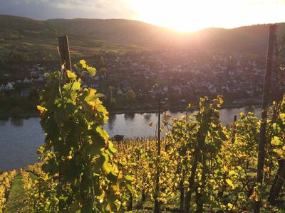 Pünderich an der Mosel