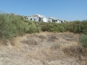 21928945-Ferienwohnung-6-Punta Del Moral-300x225-1