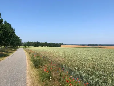 Ferienwohnung für 6 Personen (75 m²) in Putbus 8/10