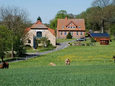 Ferienwohnung für 6 Personen (70 m²) in Putbus 7/10