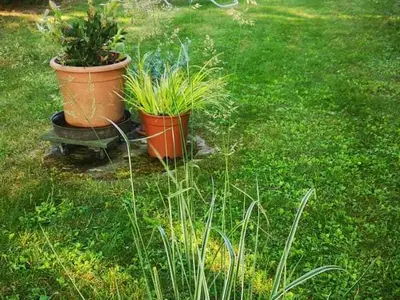 Ferienwohnung für 3 Personen (40 m²) in Putbus 2/8
