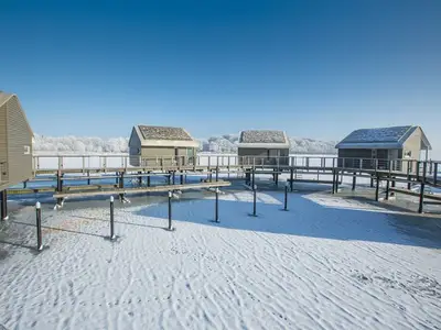 Ferienwohnung für 6 Personen (72 m²) in Putbus 5/10