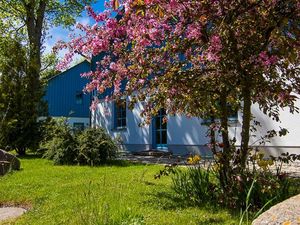 Ferienwohnung für 4 Personen (42 m²) in Putgarten