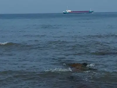 Ferienwohnung für 2 Personen (17 m²) in Putgarten 10/10