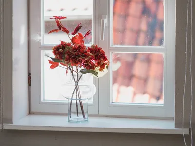 Ferienwohnung für 4 Personen (54 m²) in Quedlinburg 6/10
