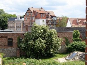 23551873-Ferienwohnung-4-Quedlinburg-300x225-1