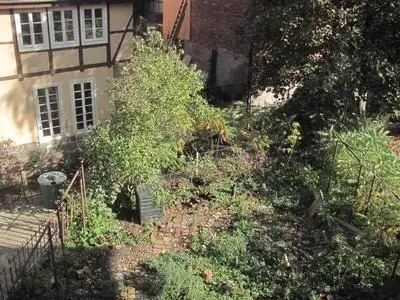 Blick in den Garten