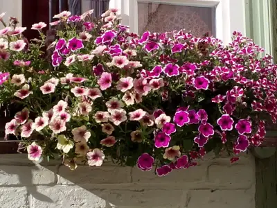 Ferienwohnung für 5 Personen (72 m²) in Quedlinburg 4/10