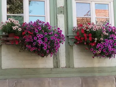 Ferienwohnung für 4 Personen (42 m²) in Quedlinburg 9/10