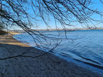 Ferienwohnung für 4 Personen (100 m²) in Quern 1/10