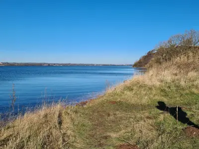 Ferienwohnung für 4 Personen (100 m²) in Quern 9/10
