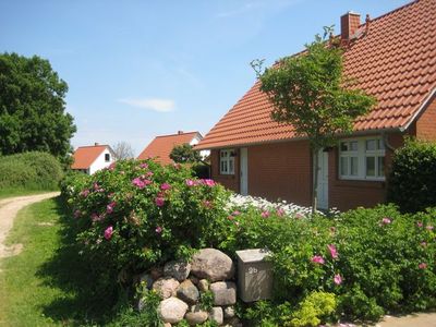 Ferienwohnung für 4 Personen (75 m²) in Quilitz 4/10