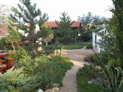 Bild 8