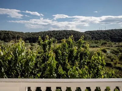 Ferienwohnung für 5 Personen (55 m²) in Rab 6/10