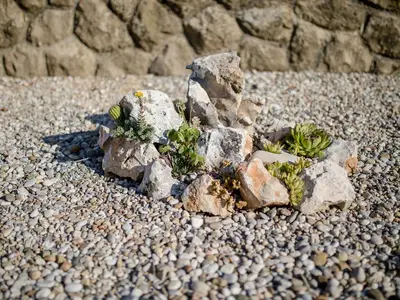 Ferienwohnung für 3 Personen (45 m²) in Rab 10/10