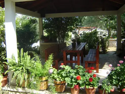 Bild 9