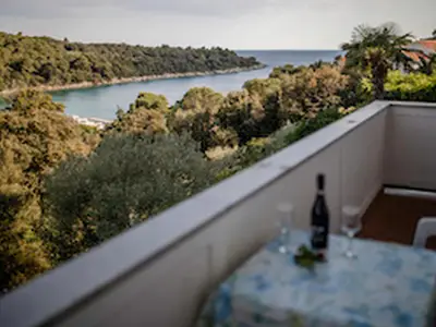 TerraceBalcony