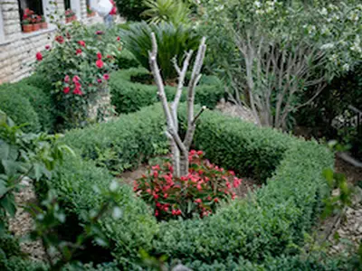GardenSummer