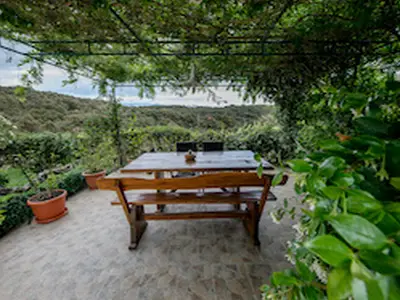 terrace