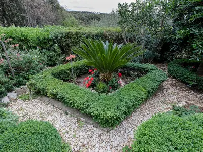GardenSummer