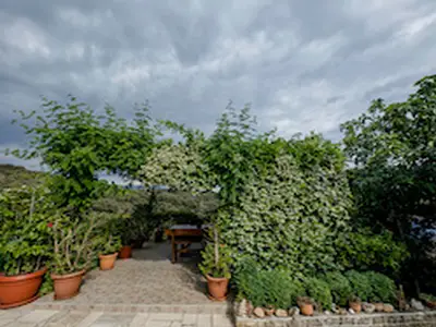 GardenSummer