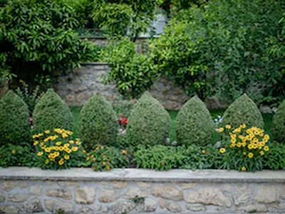 GardenSummer