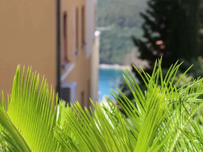 Ferienwohnung für 4 Personen (50 m²) in Rabac 8/10