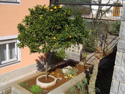 Ferienwohnung für 5 Personen (50 m²) in Rabac 6/10