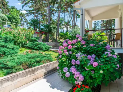 Ferienwohnung für 2 Personen (25 m²) in Rabac 10/10