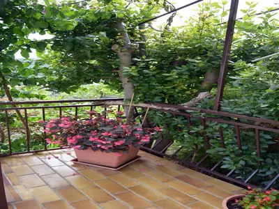 Outdoor