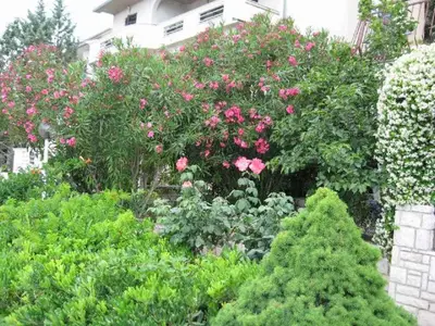 Ferienwohnung für 4 Personen (70 m²) in Rabac 6/10