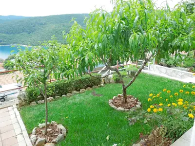 Ferienwohnung für 4 Personen (42 m²) in Rabac 8/10