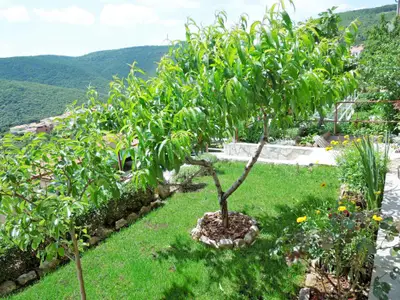 Ferienwohnung für 4 Personen (55 m²) in Rabac 9/10