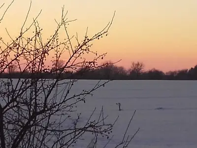 Ferienwohnung für 4 Personen (70 m²) in Rabenkirchen-Faulück 1/10