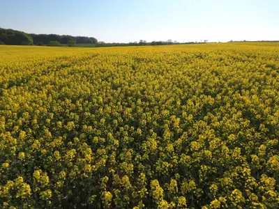 Ferienwohnung für 4 Personen (46 m²) in Rabenkirchen-Faulück 9/10