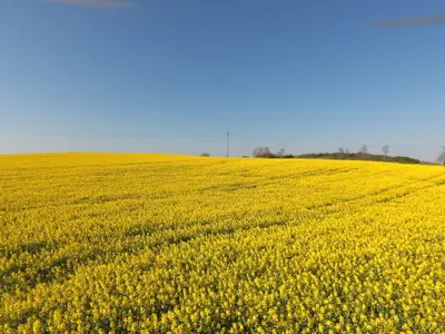Ferienwohnung für 6 Personen (67 m²) in Rabenkirchen-Faulück 9/10