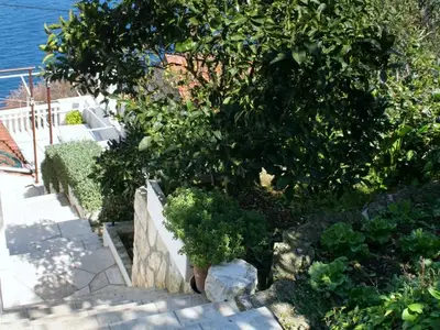 Ferienwohnung für 5 Personen in Račišće 7/10