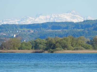 Markelfinger Winkel mit Blick auf den Säntis bei Föhnlage