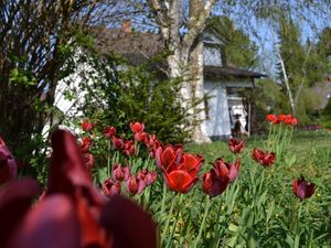 Außenansicht Garten