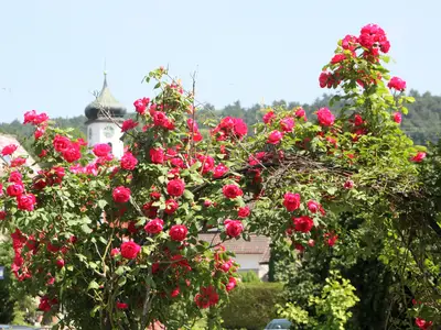 Ferienwohnung für 4 Personen (70 m²) in Radolfzell am Bodensee 10/10