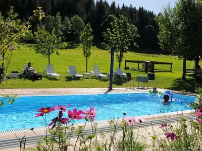 Aussenpool Sommer