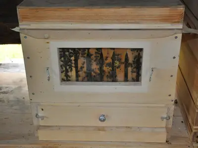 Bienen