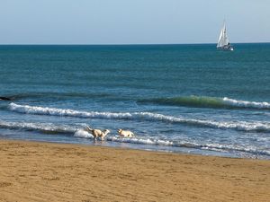 24025125-Ferienwohnung-3-Ragusa-300x225-4