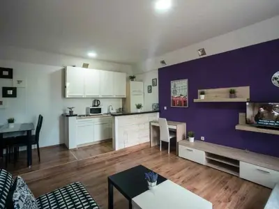 Ferienwohnung für 2 Personen (35 m²) in Rakovica 5/10