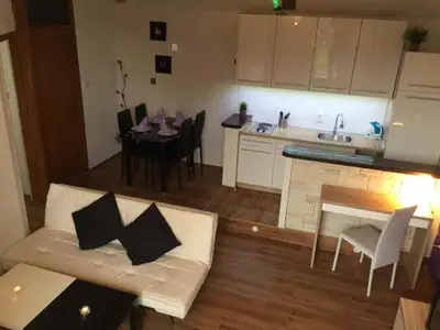Ferienwohnung für 2 Personen (35 m²) in Rakovica 9/10