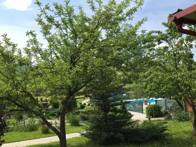 GardenSummer