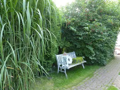 Ferienwohnung für 2 Personen (32 m²) in Gnies 8/10